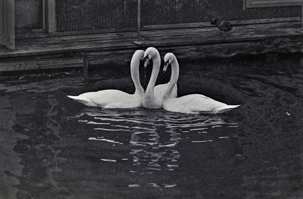 Photograph by Миша Автократов