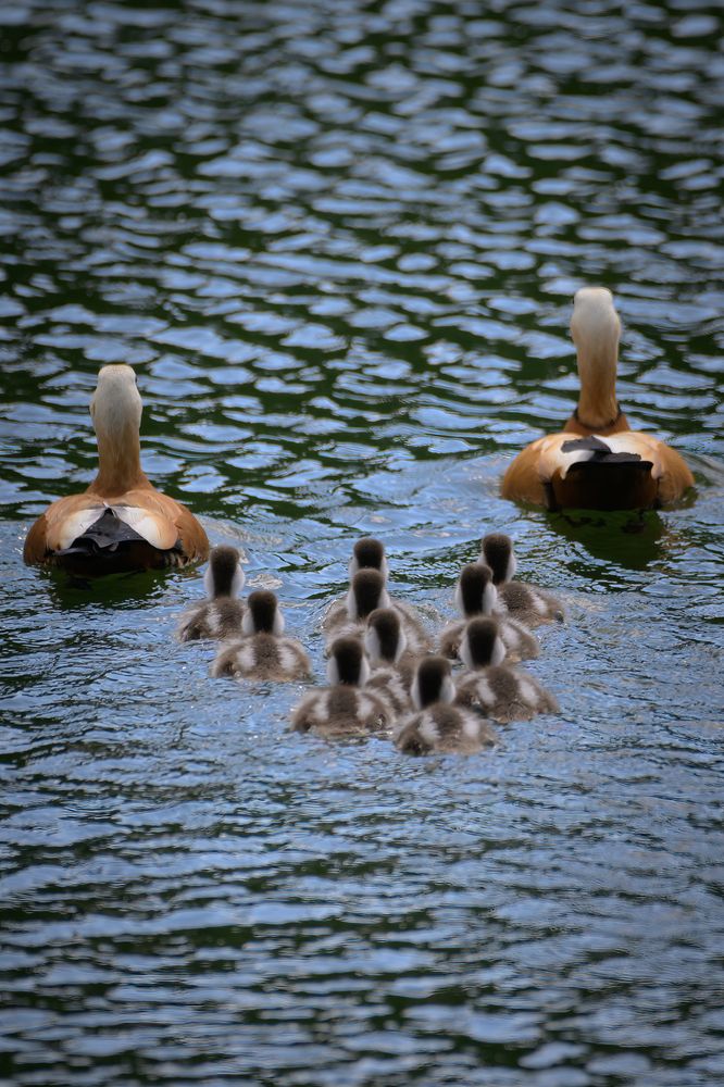 Photograph by Вячеслав Белов