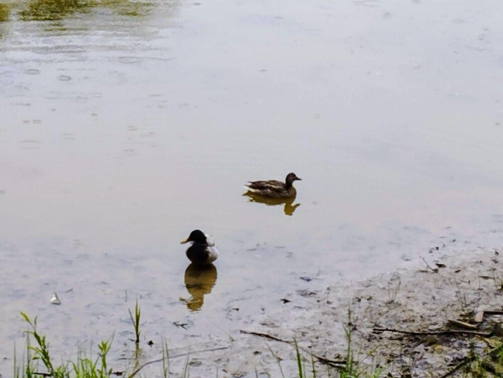 Photograph by Galina Gurskaya