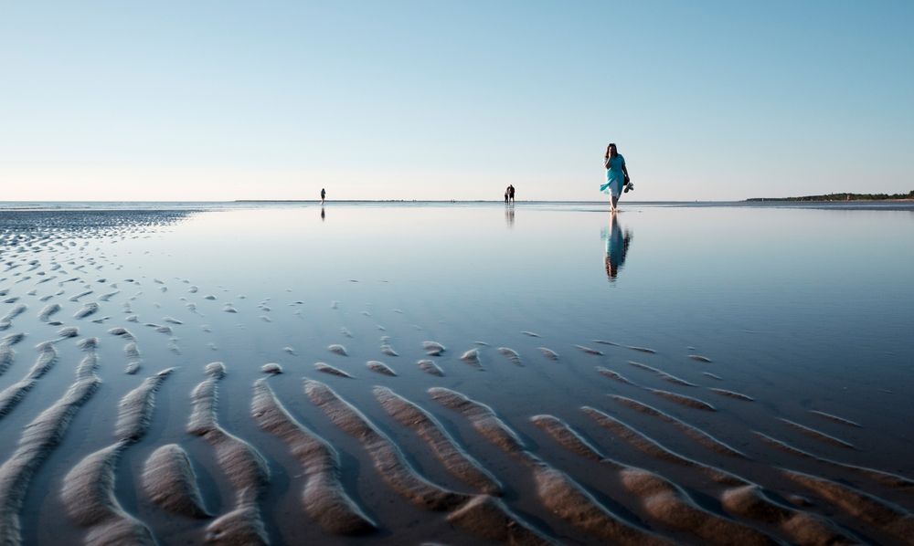 Фотография автора Александр Малафеевский