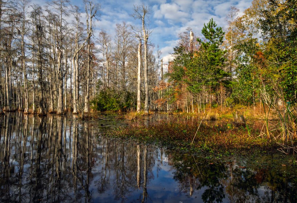 Photograph by Ilya Tikhaev