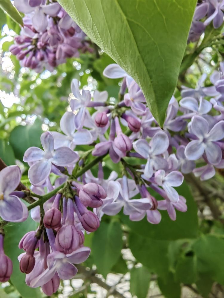 Photograph by Наталья Сергеевна Крылова