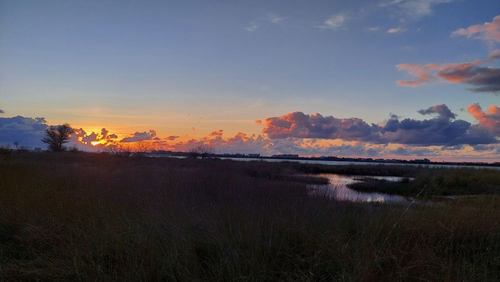 Фотография автора Анатолий Дячина