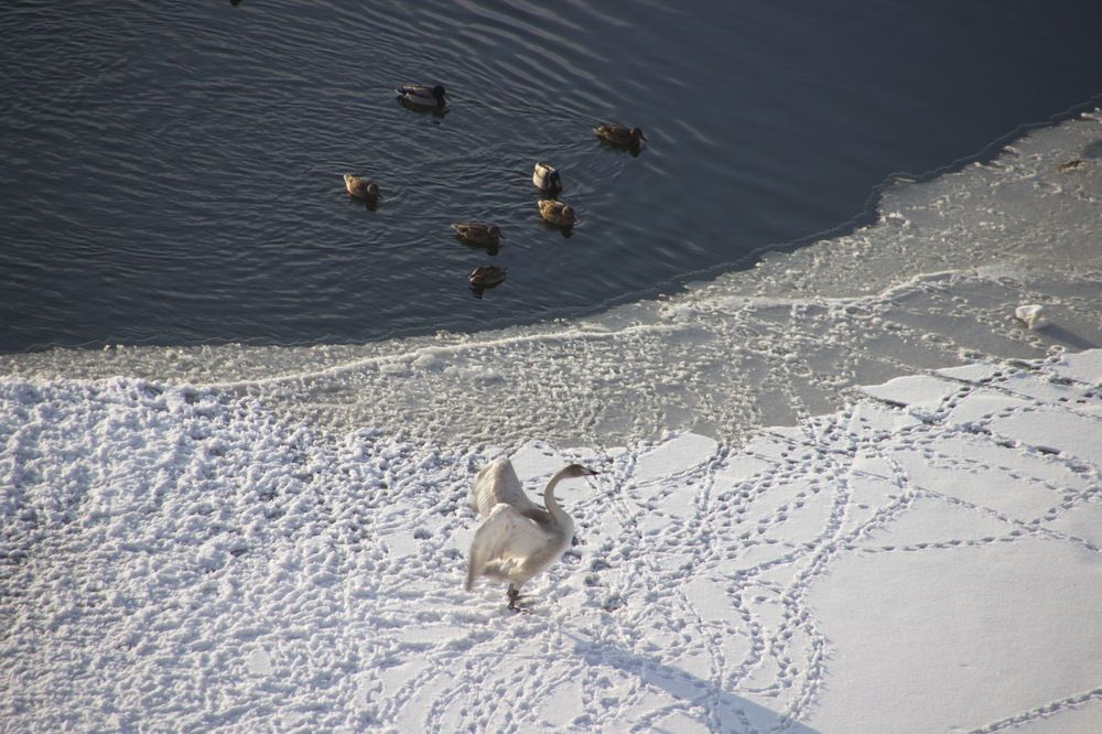 Photograph by Вакулина Марина