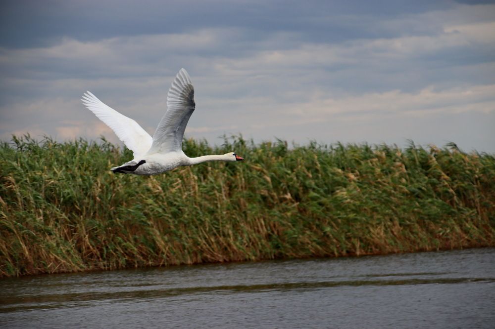 Photograph by Вакулина Марина