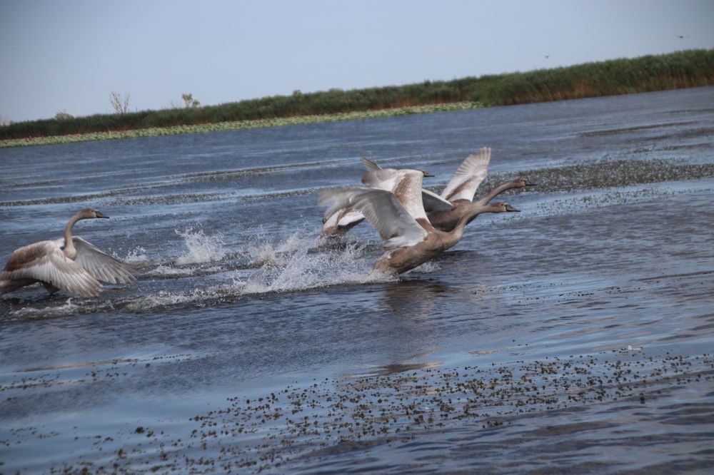 Photograph by Вакулина Марина