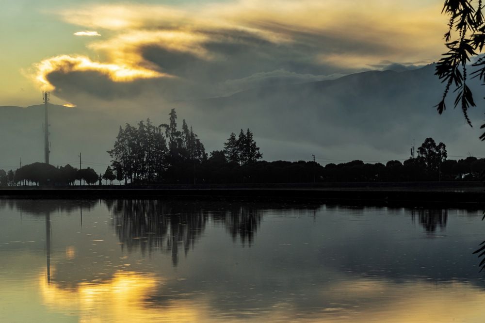 Photograph by Susie Castellano