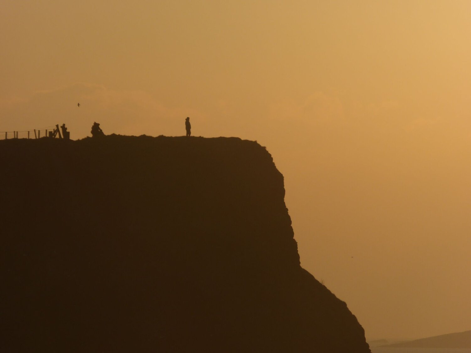 Photo #12325275