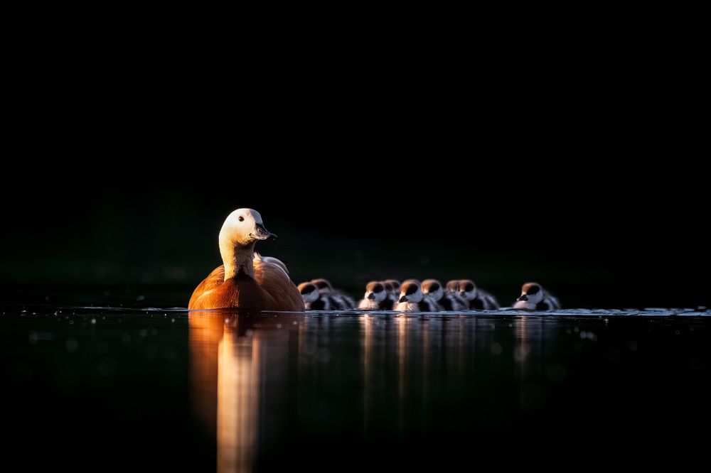 Photograph by Михаил Ездаков