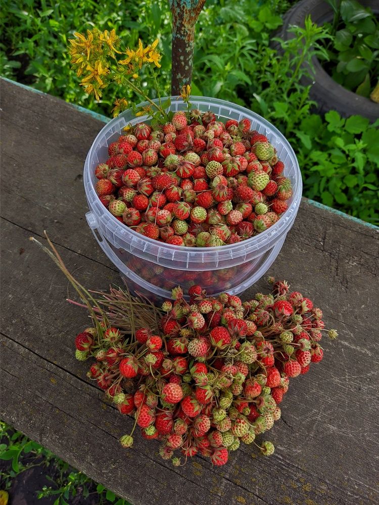 Photograph by Мария Широких