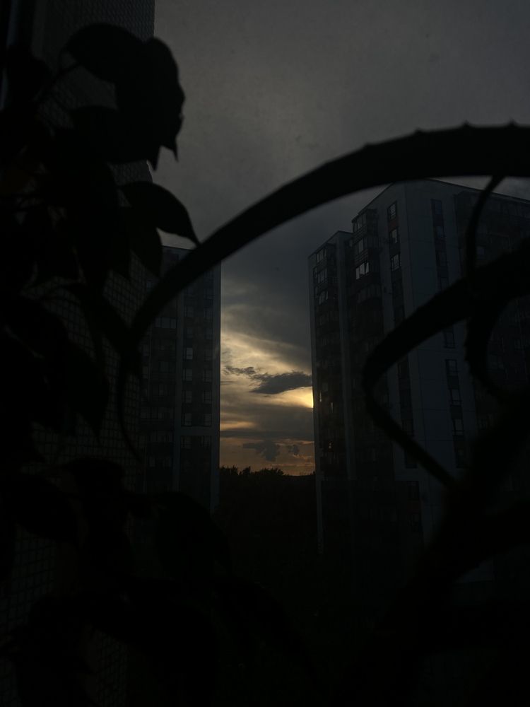 Photograph by Любовь Макуха