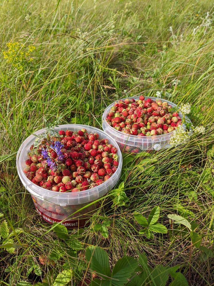 Photograph by Мария Широких