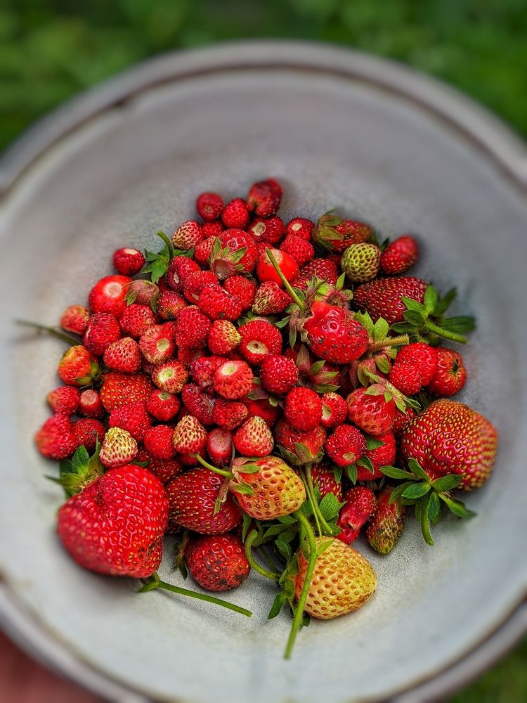 Photograph by Мария Широких