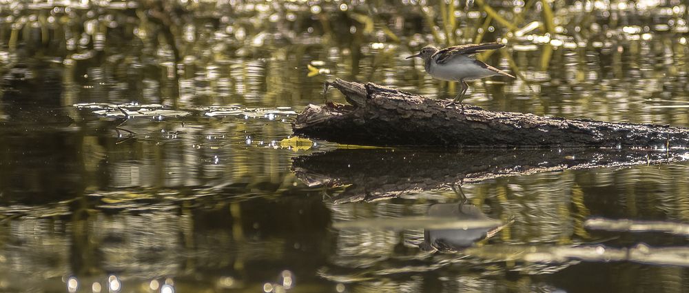 Photograph by Макс Полюхович