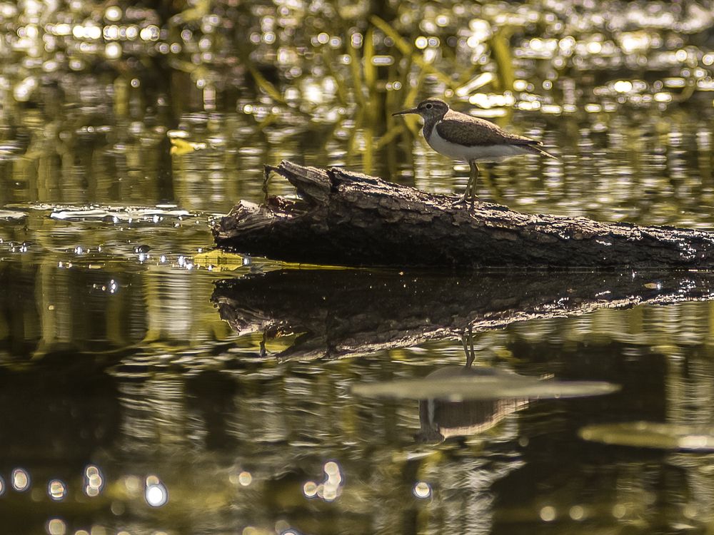 Photograph by Макс Полюхович