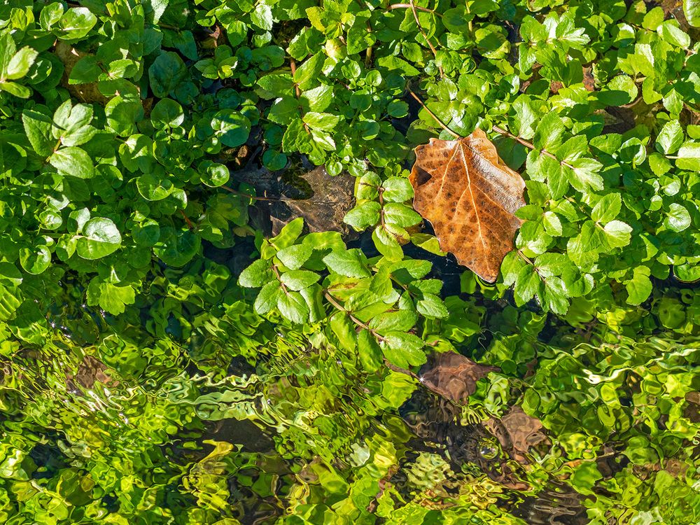 Photograph by Davoud Naeimi