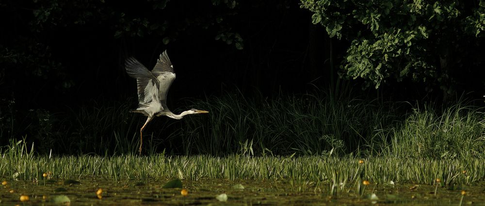 Photograph by Макс Полюхович