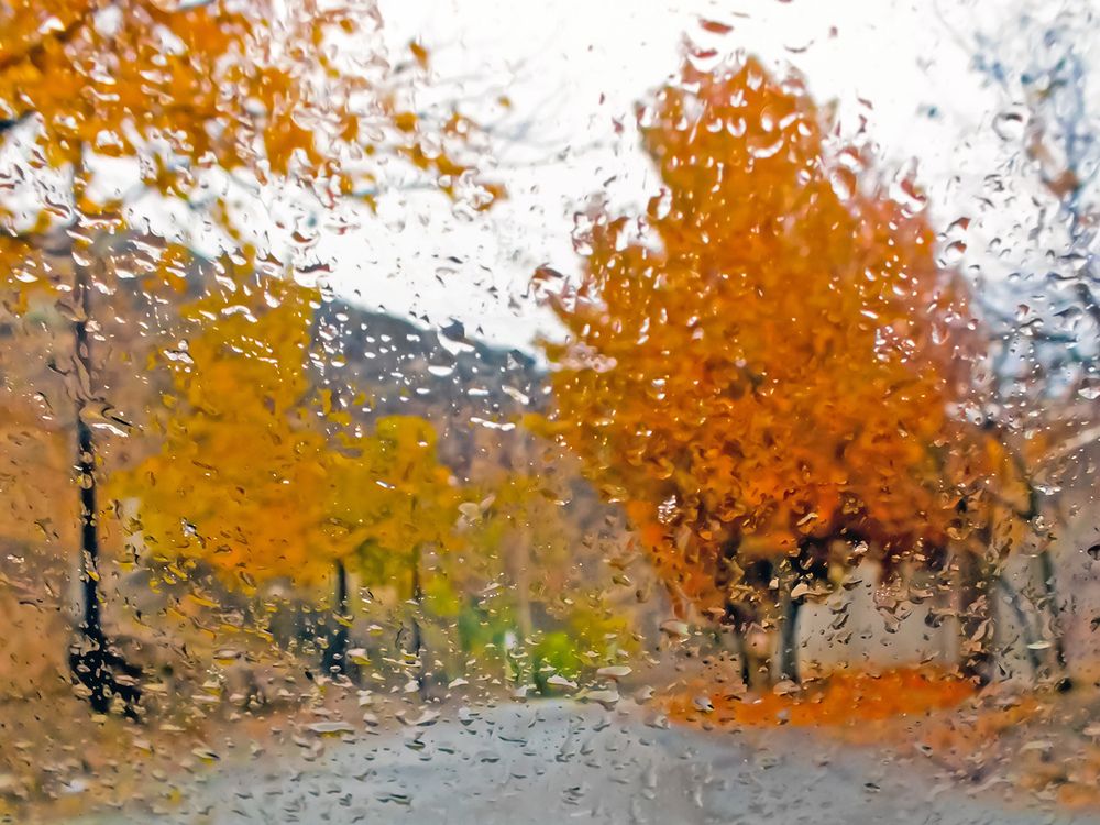 Photograph by Davoud Naeimi