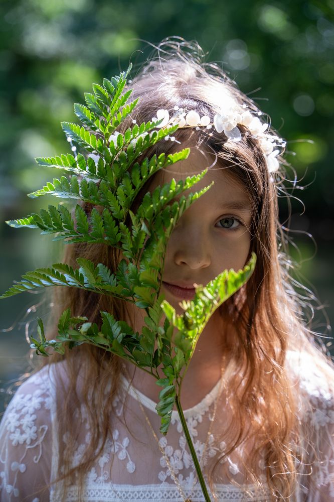 Фотография автора Robert Stein