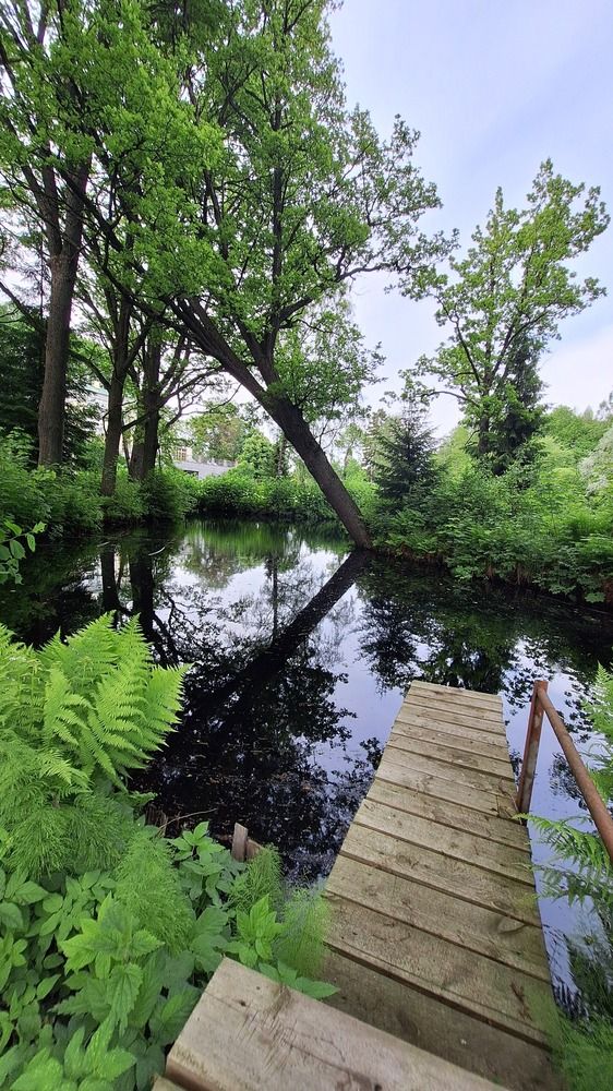 Photograph by Наталья Вялых