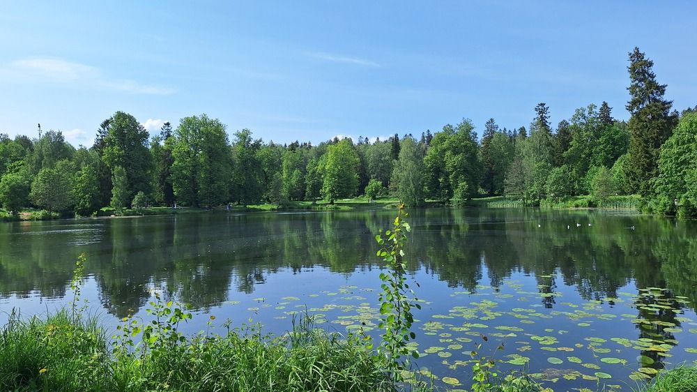 Photograph by Наталья Вялых