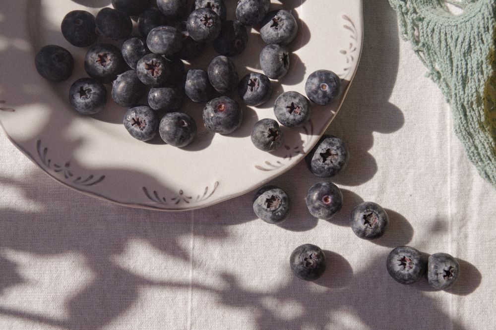 Photograph by Julia Smilovitsky