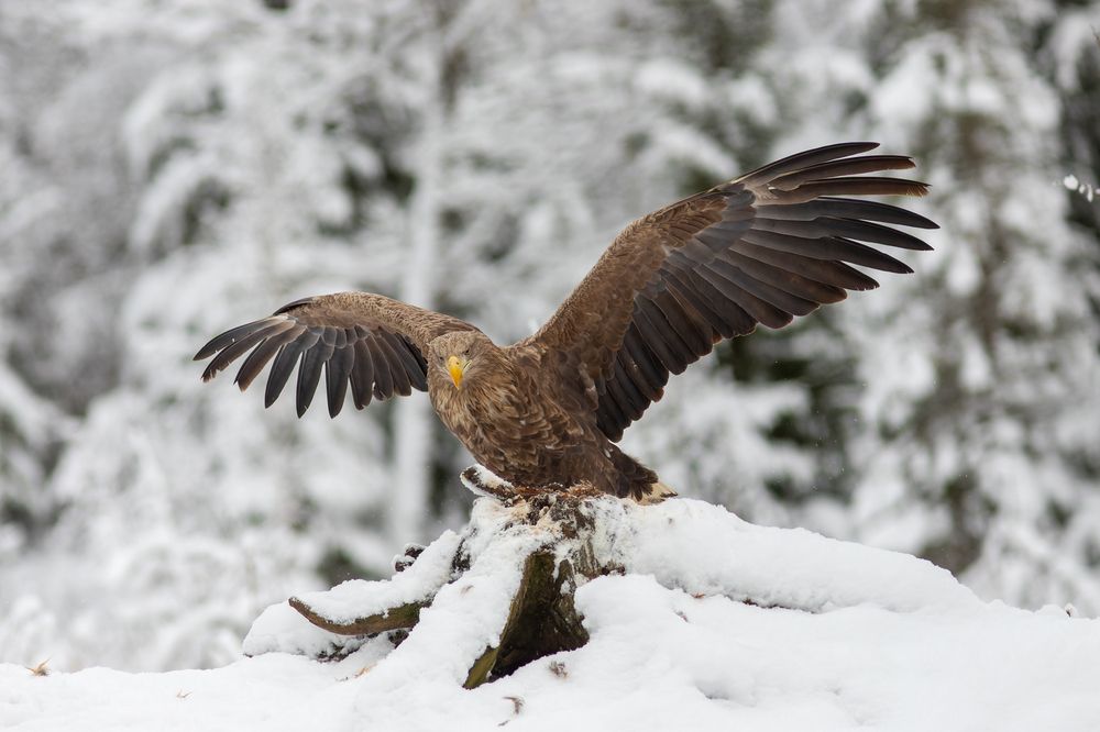 Photograph by Евгения Севрюкова