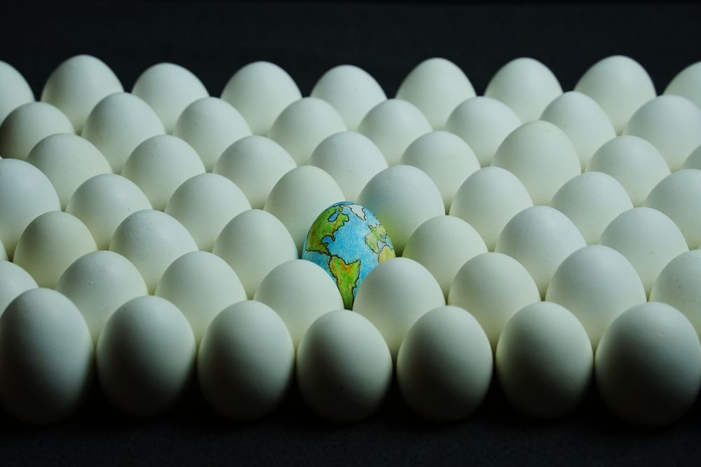 Photograph by Anna Perevozchikova