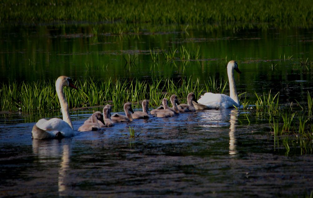 Photograph by Зоя Быкова