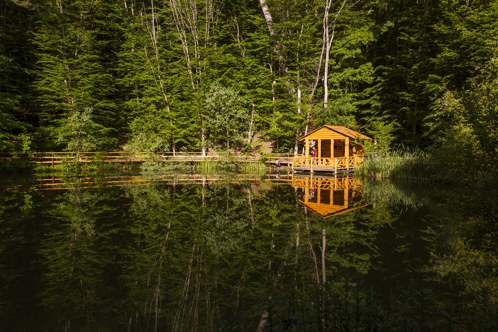 Photograph by Будаква Сергей