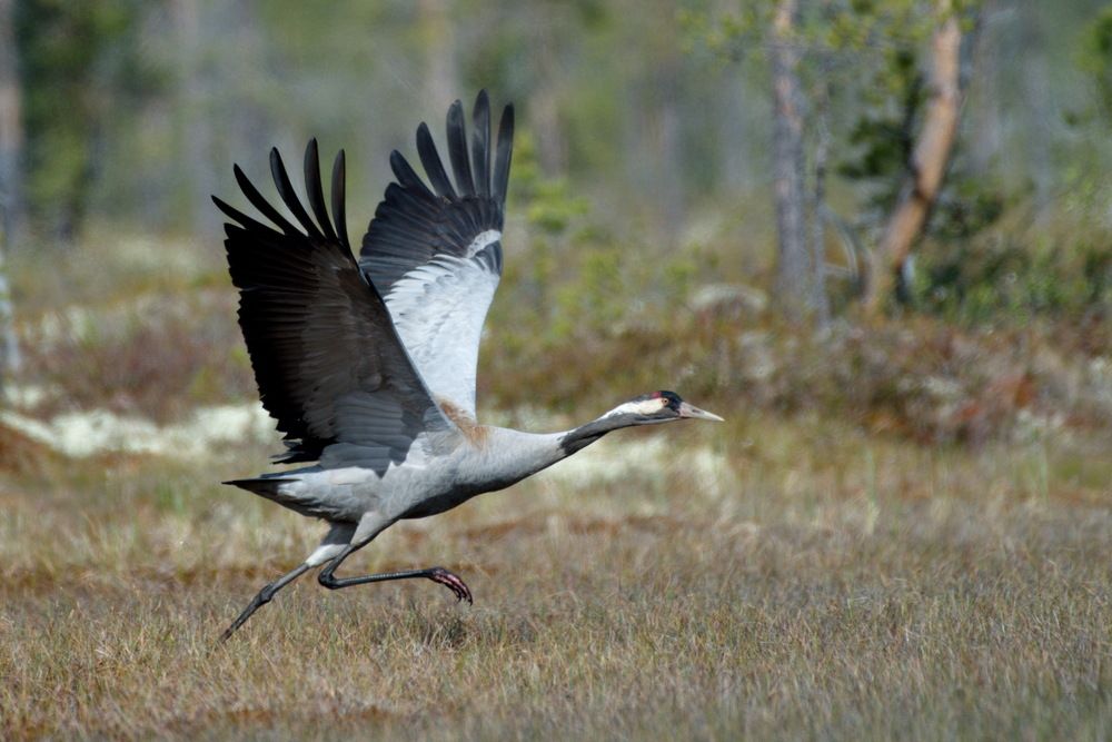 Photograph by Елена Валова