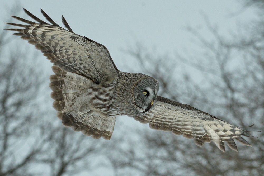 Photograph by Елена Валова