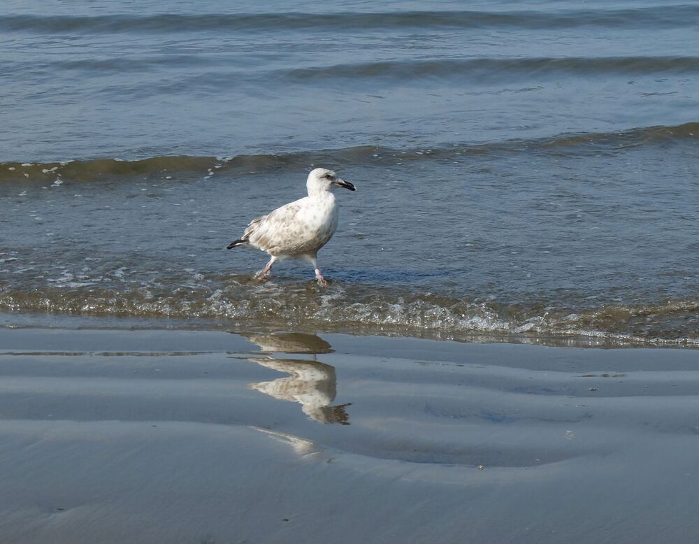 Photograph by Ираида Стародубцева