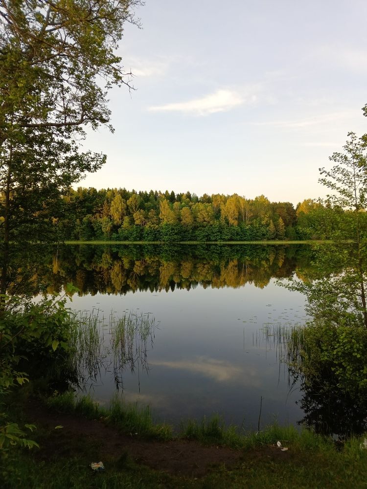 Photo #12325791