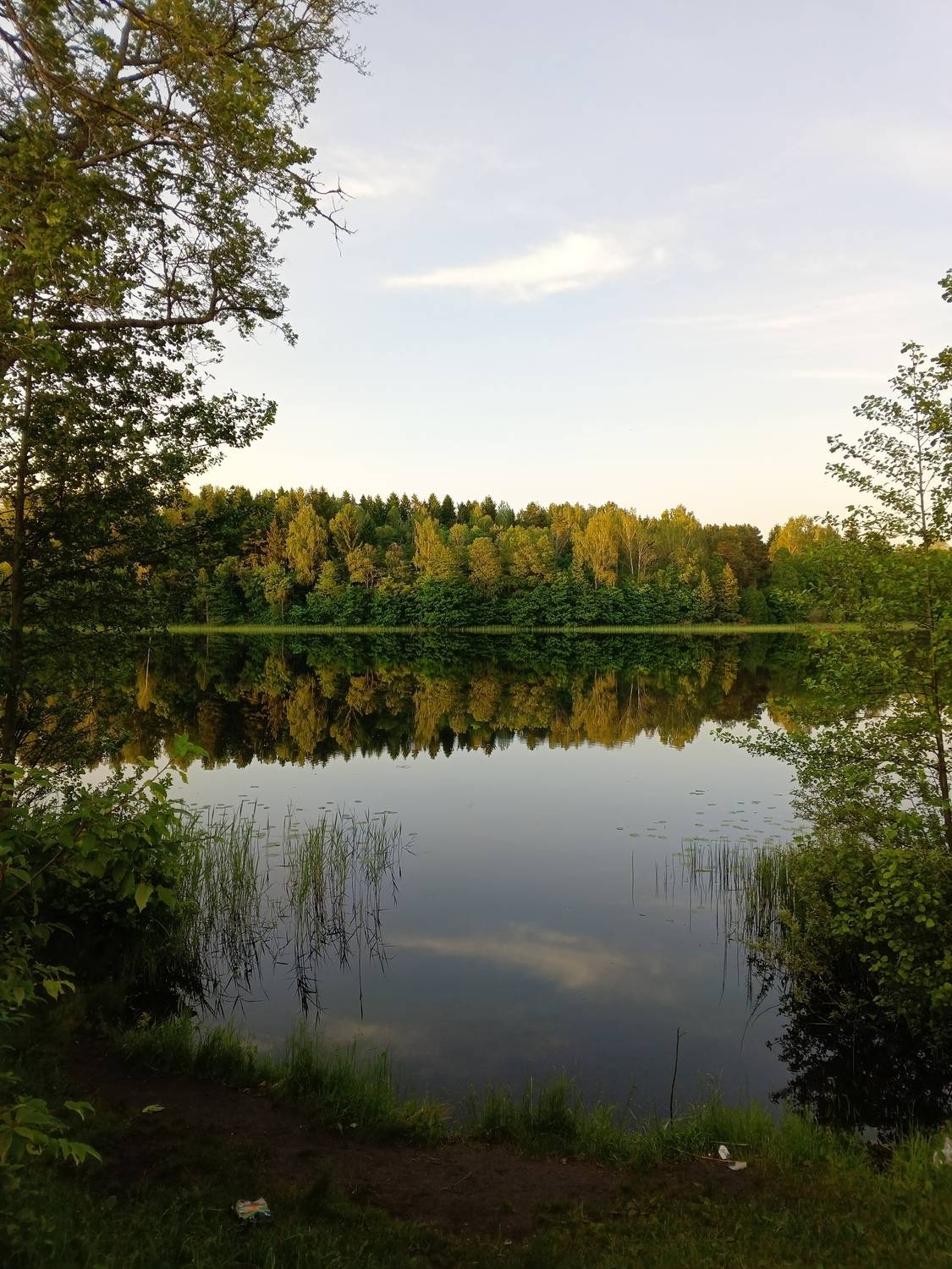 Photo #12325791