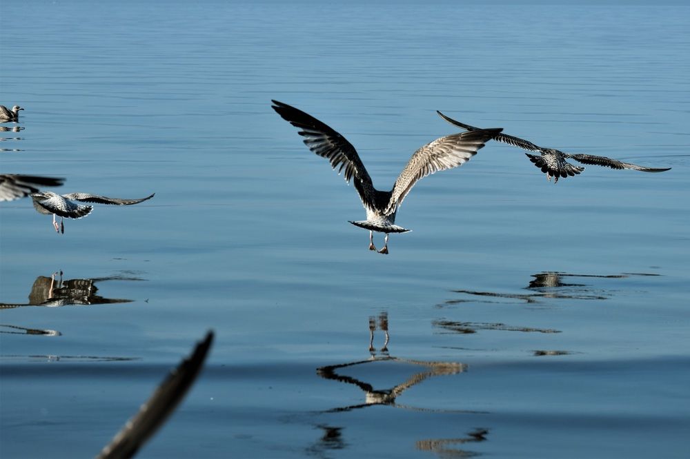 Фотография автора VIZO