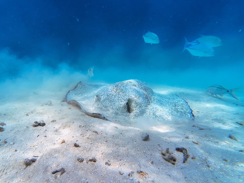 Photograph by Илья Ушак