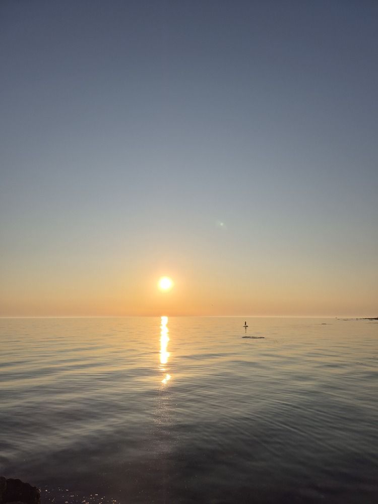 Photo #12325811
