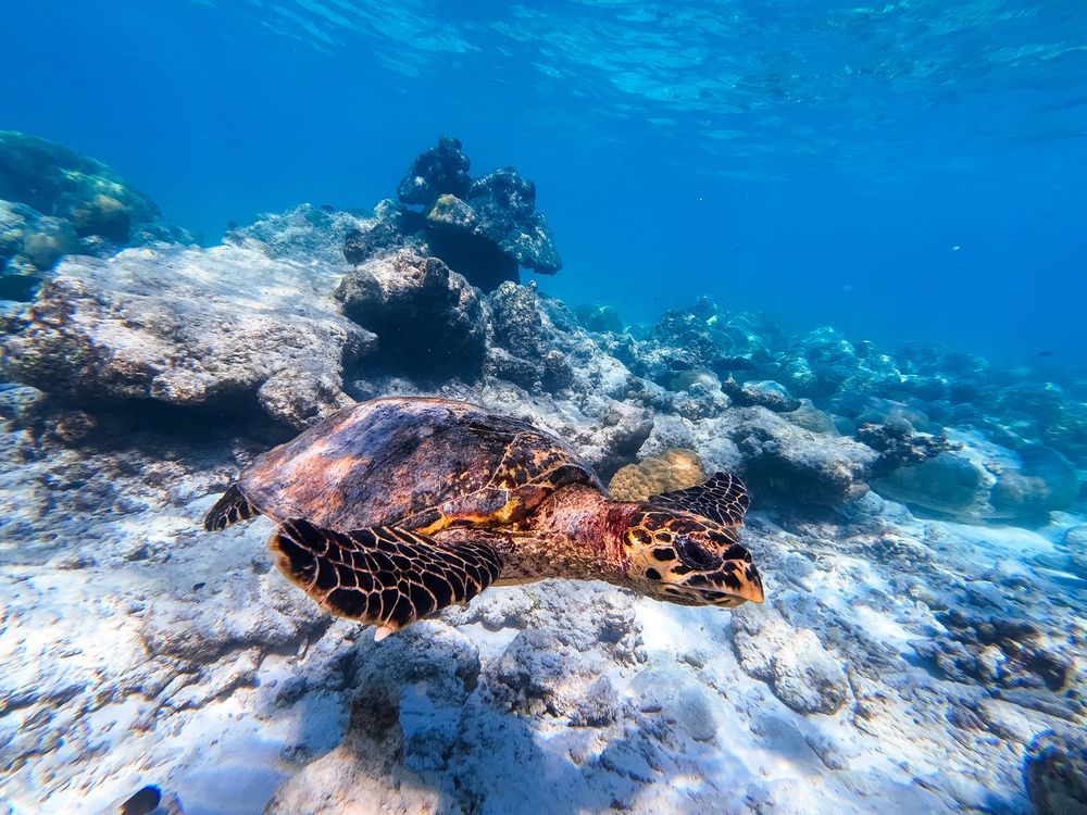 Photograph by Илья Ушак