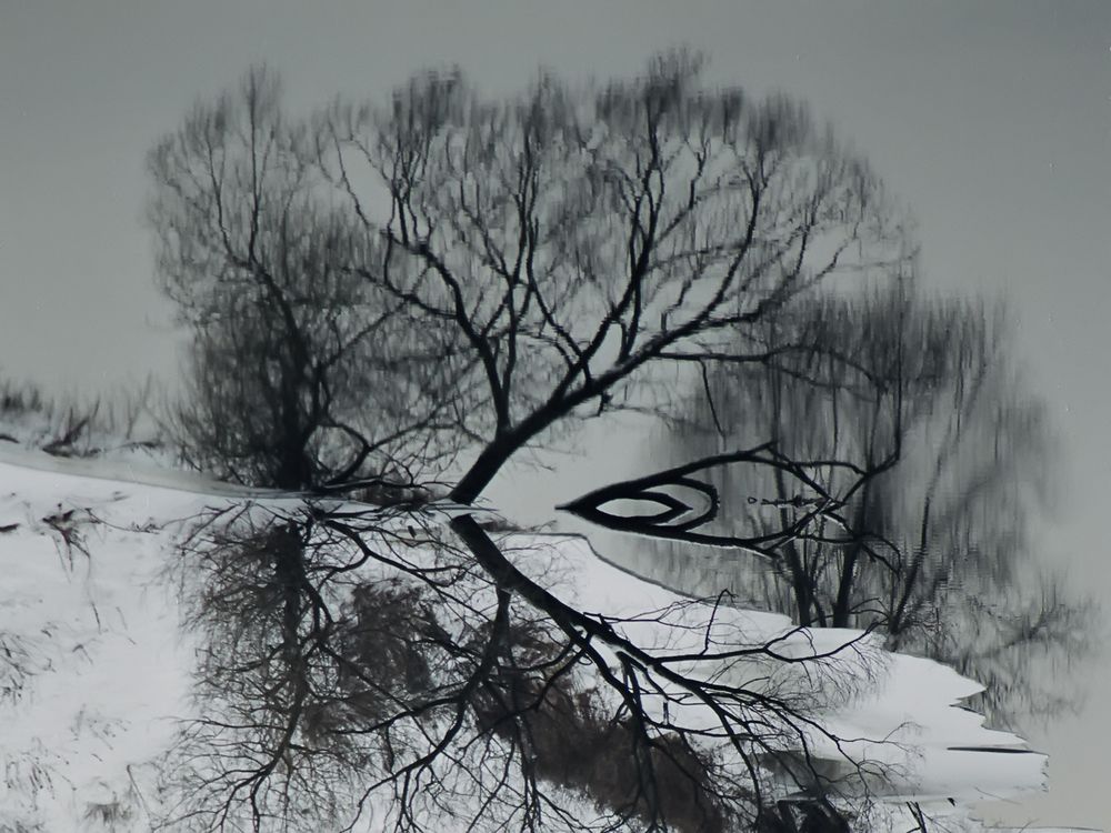 Photograph by Ольга Заповедная