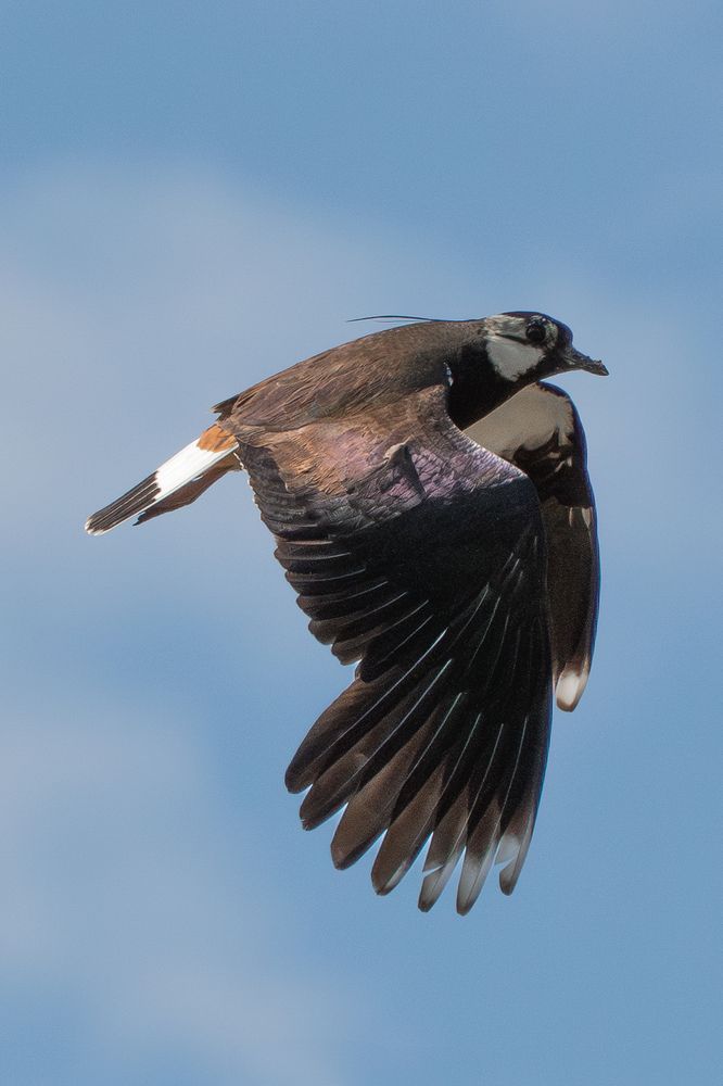 Photograph by Высотских Владимир