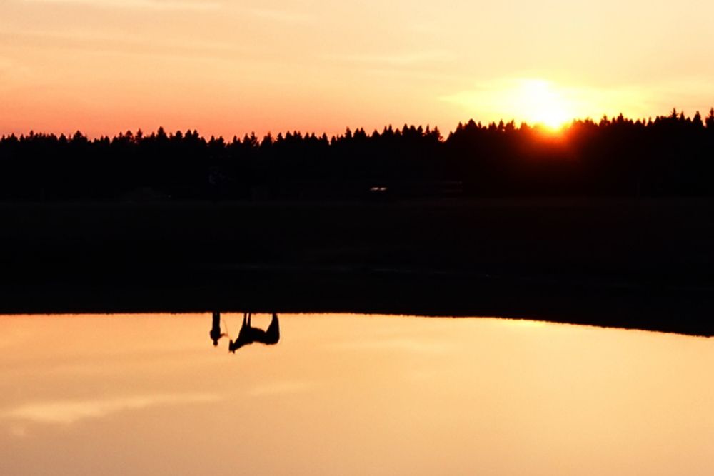 Photograph by Ольга Заповедная