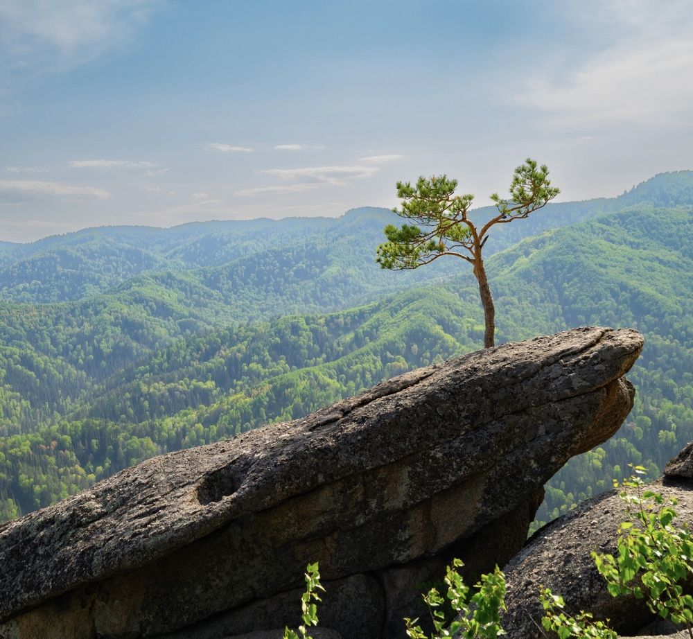 Photograph by Дубровин Николай