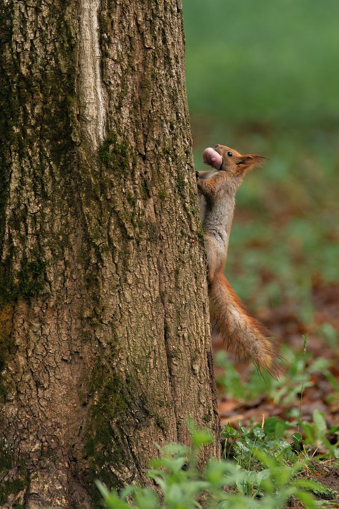 Photograph by Ekaterina Romanova