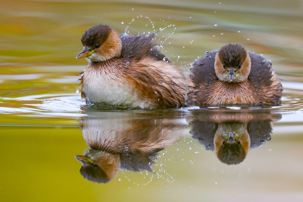 Photograph by David Manusevich