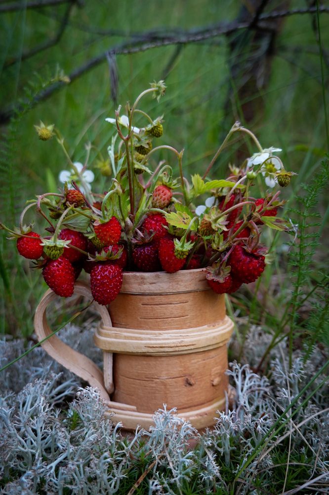 Photograph by Светлана Каравайская