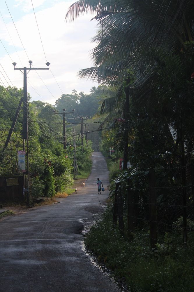 Photograph by Sithmi Sandumini Dasanayake