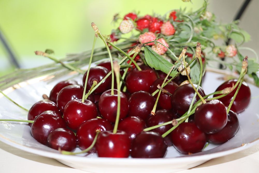 Photograph by Екатерина Александровна