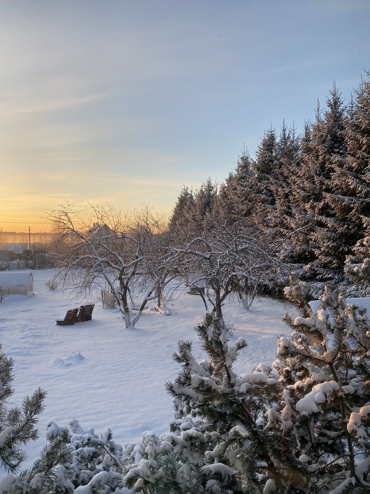 Photograph by Елена