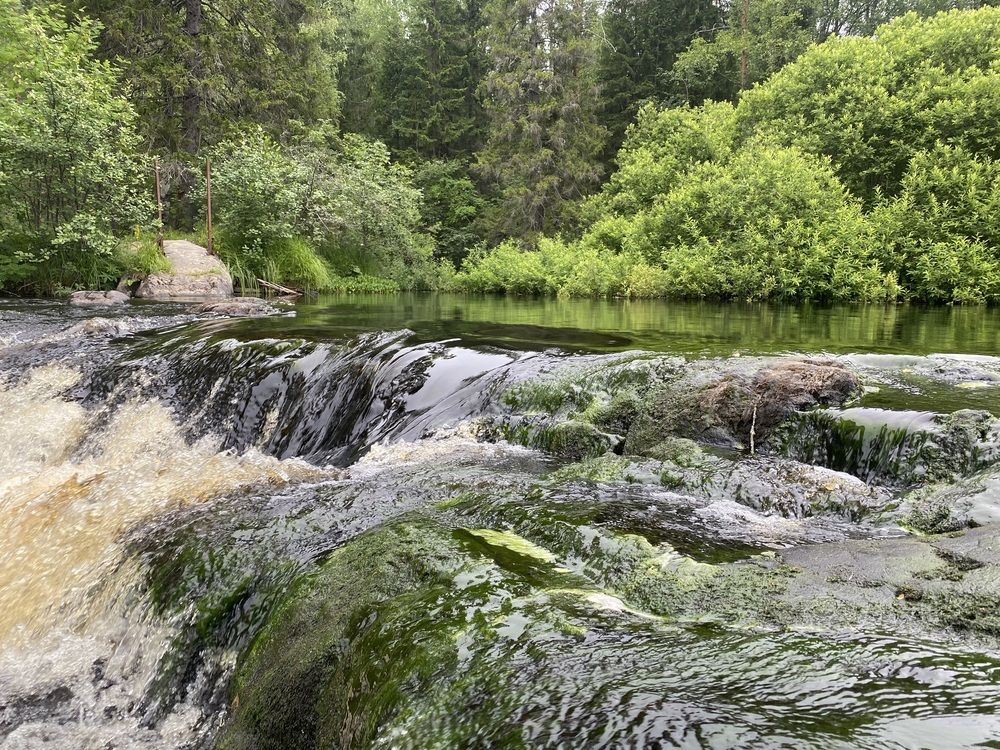 Photograph by Елена